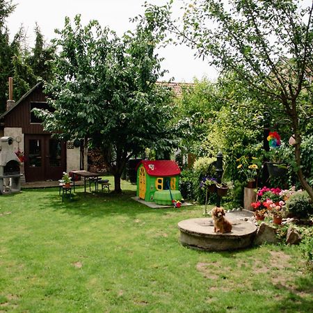 Podkrovni Apartman S Vyhledem Na Namesti Lomnice nad Luznici ภายนอก รูปภาพ